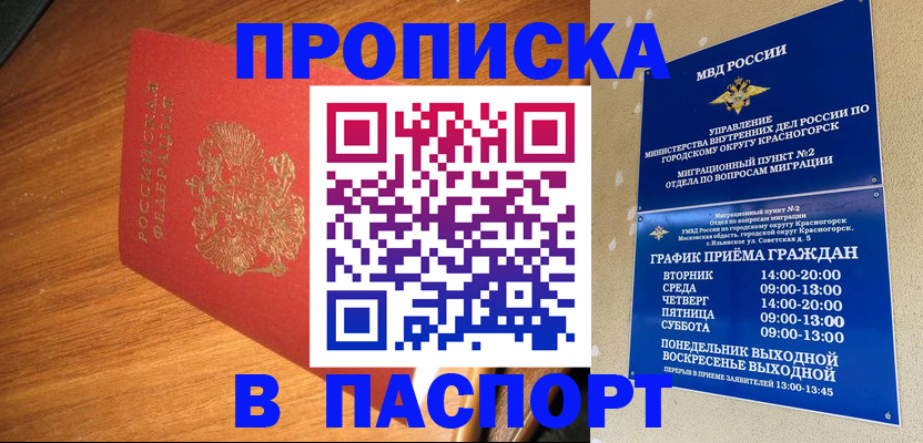 временная прописка в Мытищах